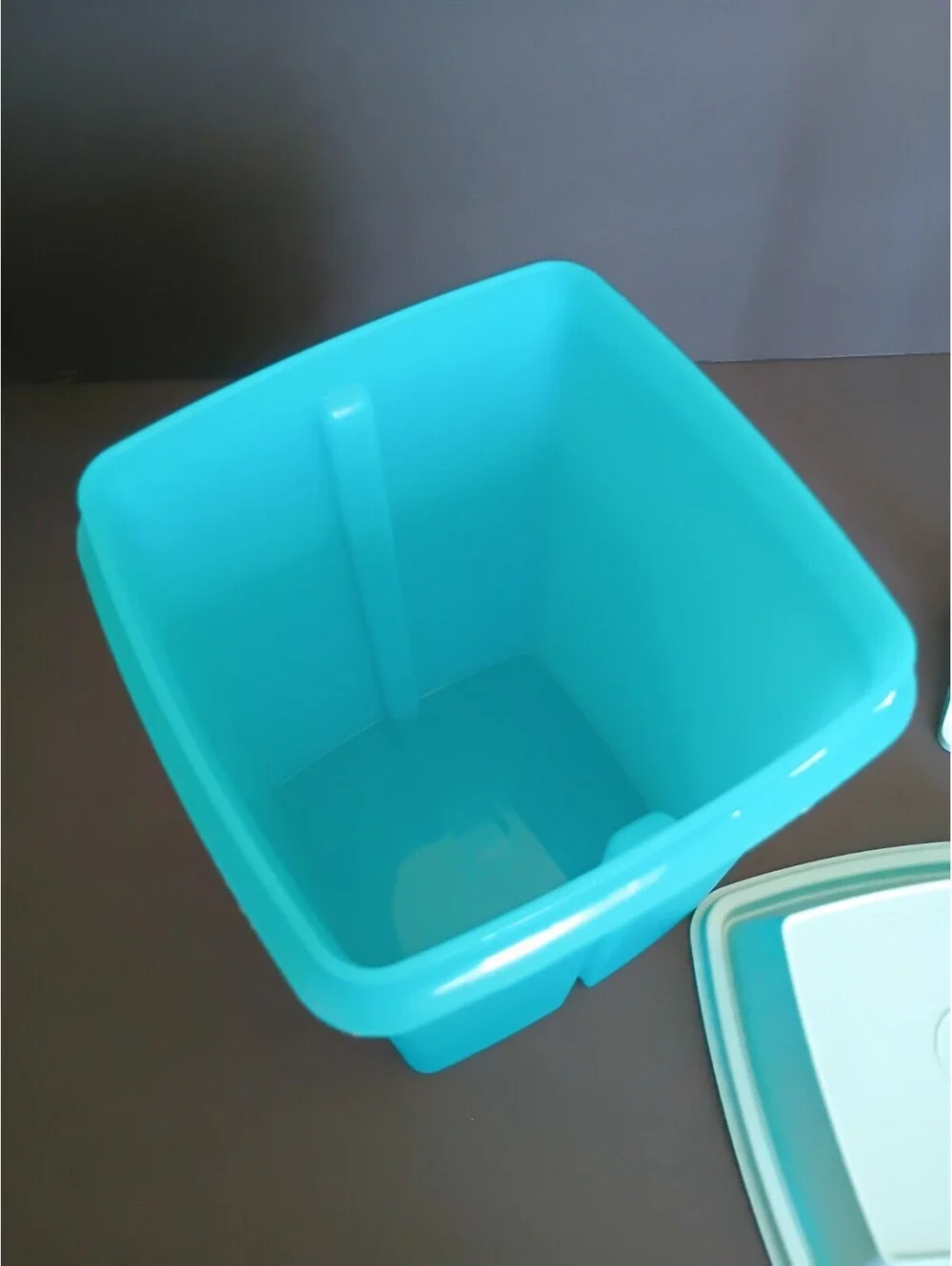 Large Tupperware Pick-A-Deli Aqua Blue Pickle Keeper Container Lid & Lifter 1560